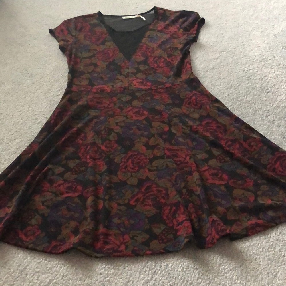 Urban Outfitters Dark Floral Dress w Mesh V Neck